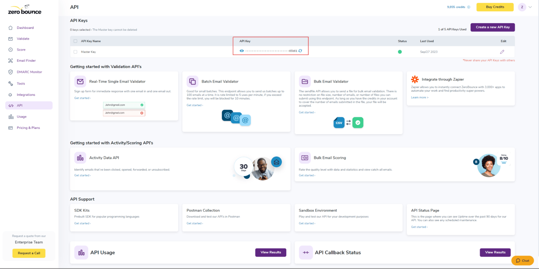 ZeroBounce dashboard with a highlight over the API master key