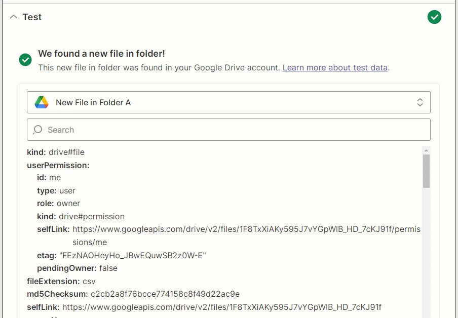 Zapier Google Drive New File in Folder test screenshot