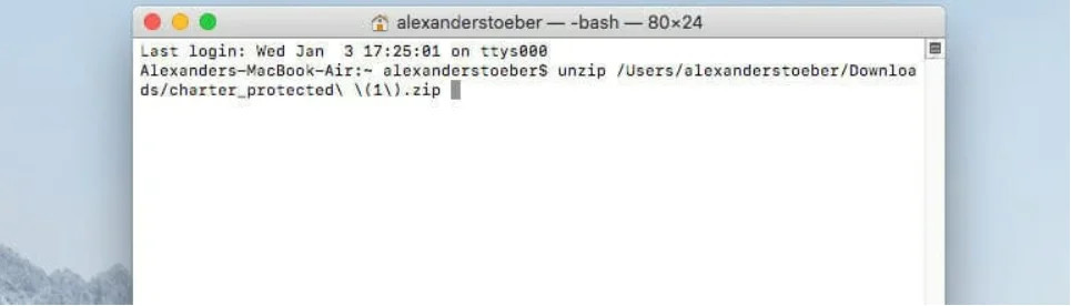 Terminal window in Mac OS that contains the ,[object Object], results file