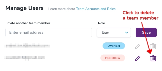 The delete button used to remove a team member or to cancel a pending invitation within your account settings