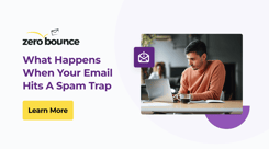 Expert Tips & Strategies to Avoid Spam Traps | Zero Bounce