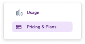 The ZeroBounce dashboard with the Pricing & Plans page selected.