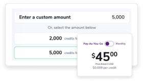 The ZeroBounce credit purchase menu, which shows options for 2,000 and 5,000 credits and the price of $45.00 for Pay-As-You-Go selected.