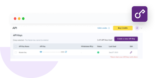 The ZeroBounce API dashboard, which shows your account API key.