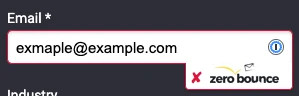 A form with the field ‘email,’ which shows an invalid email ‘exmaple@example.com.’