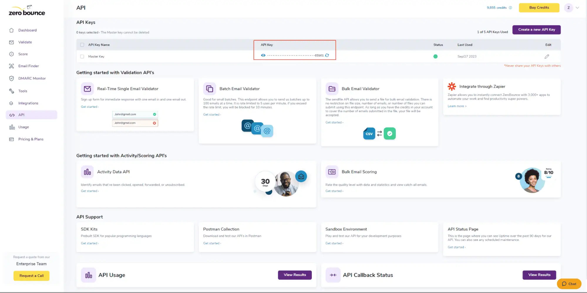 ZeroBounce dashboard with a highlight over the API master key