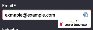 A form with the field ‘email,’ which shows an invalid email ‘exmaple@example.com.’