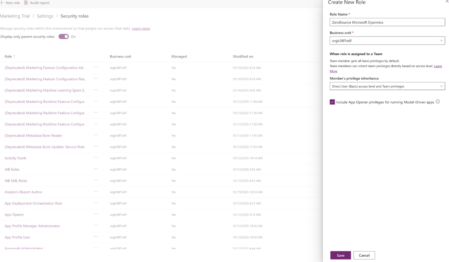 The Create a New Role pop-up menu found within Microsoft Dynamics 365.