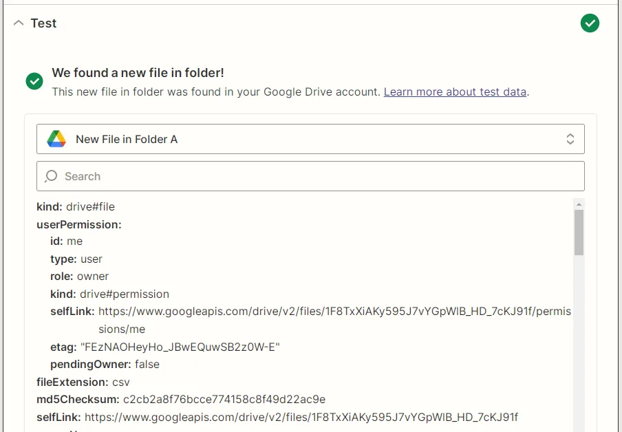 Zapier Google Drive New File in Folder test screenshot