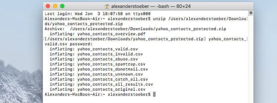 Screenshot of Terminal showing a decrypted file after entering the encryption key