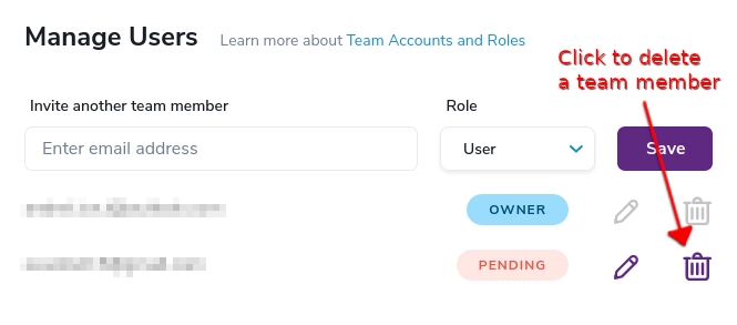 The delete button used to remove a team member or to cancel a pending invitation within your account settings